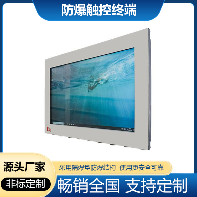 防爆显示器